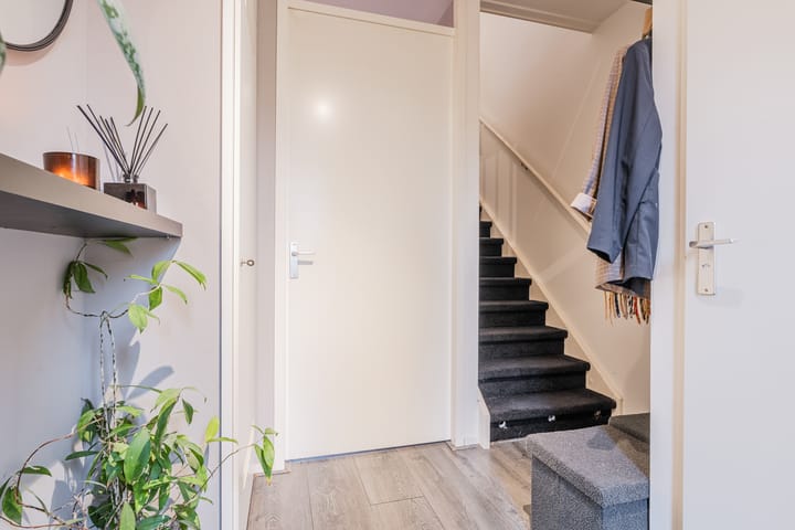 Photo 8 of Citroenvlinder 119