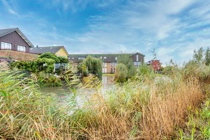 Photo 47 of Sodawater 49