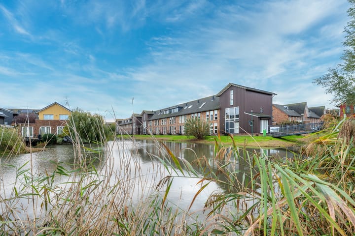 Photo 48 of Sodawater 49