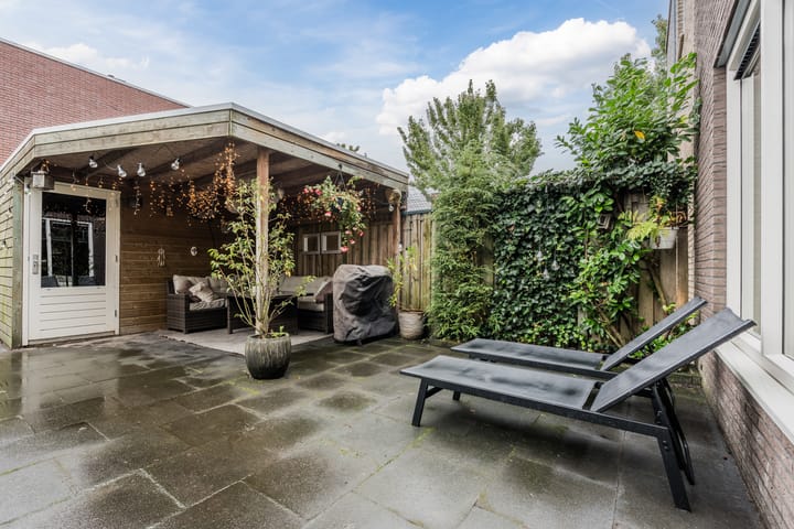 Photo 48 of Citroenvlinder 119