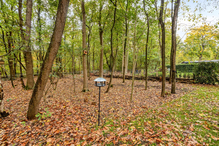 Photo 29 of Amersfoortsestraat 126-B6