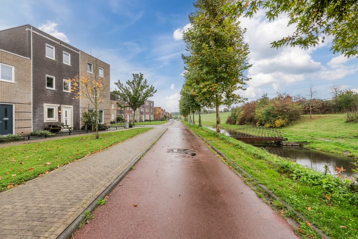 Photo 53 of Citroenvlinder 119