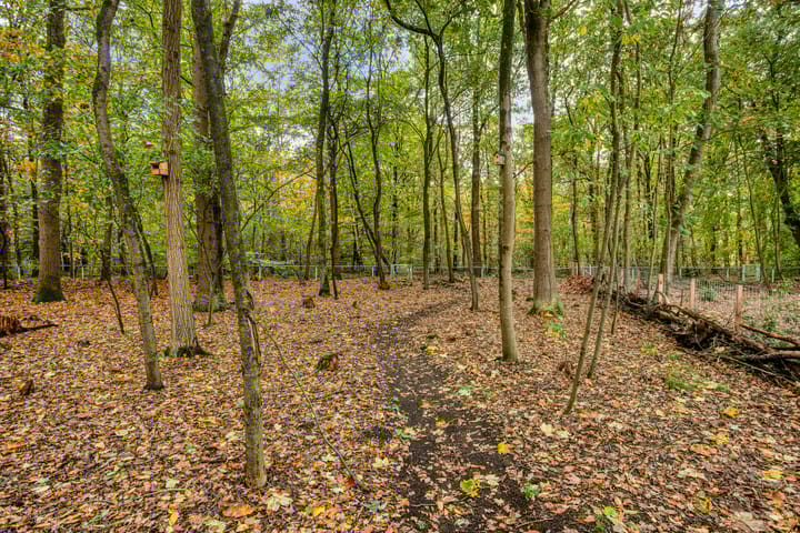 Photo 30 of Amersfoortsestraat 126-B6