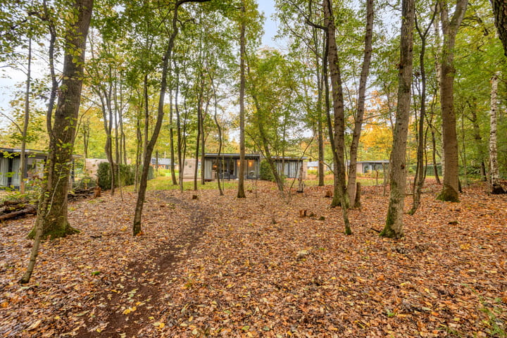 Photo 31 of Amersfoortsestraat 126-B6