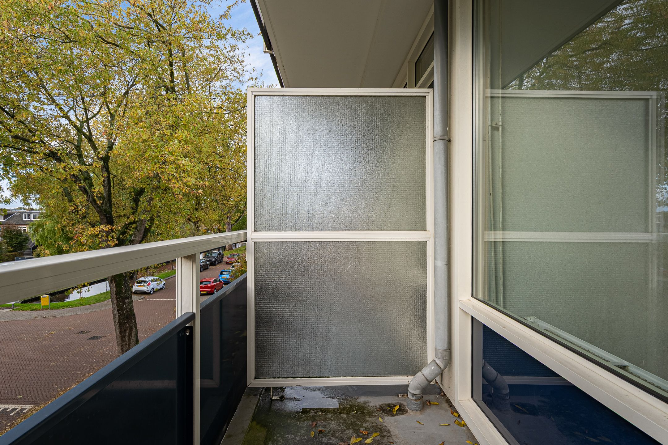 Foto 21 van Goudenregenplantsoen 32