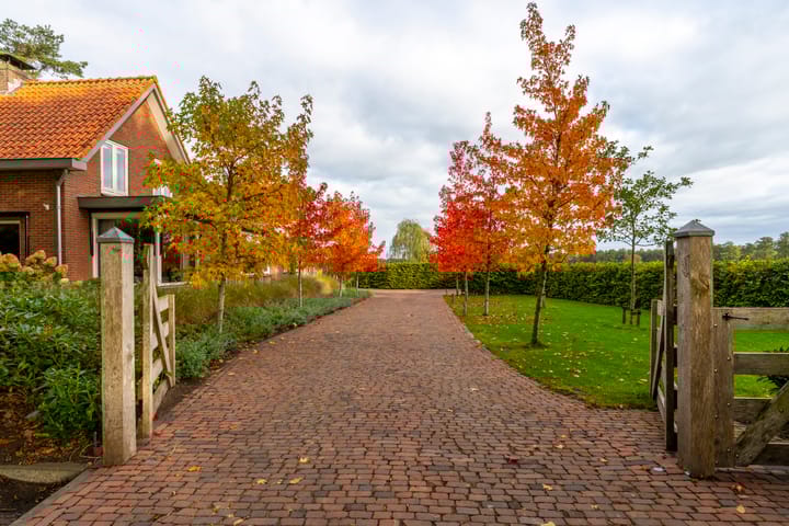 Foto 3 van Haarweg 50