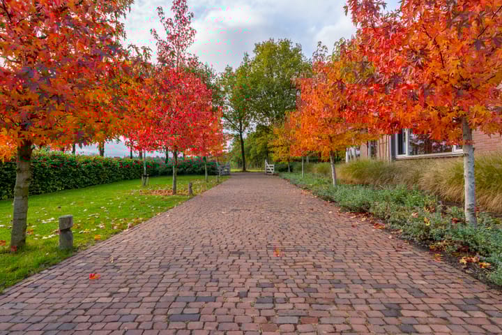 Foto 46 van Haarweg 50