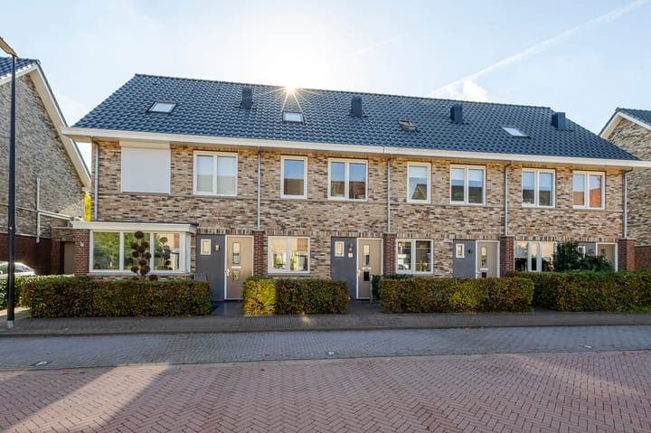 Grutto 13 main image