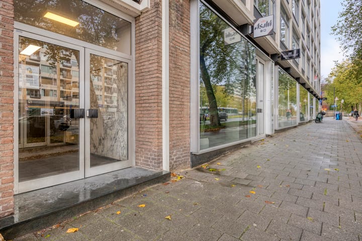 Foto 3 van Goudsesingel 356