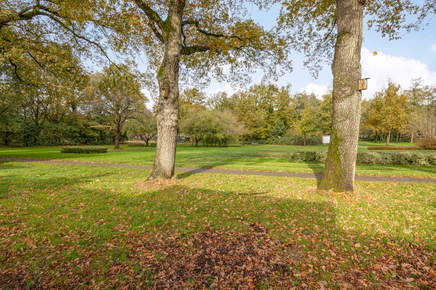 Foto 20 van Ruinerbrink 178