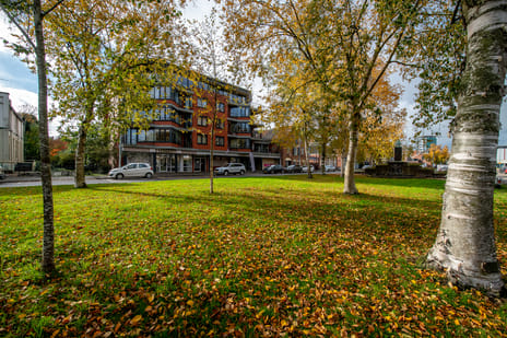 undefined main image