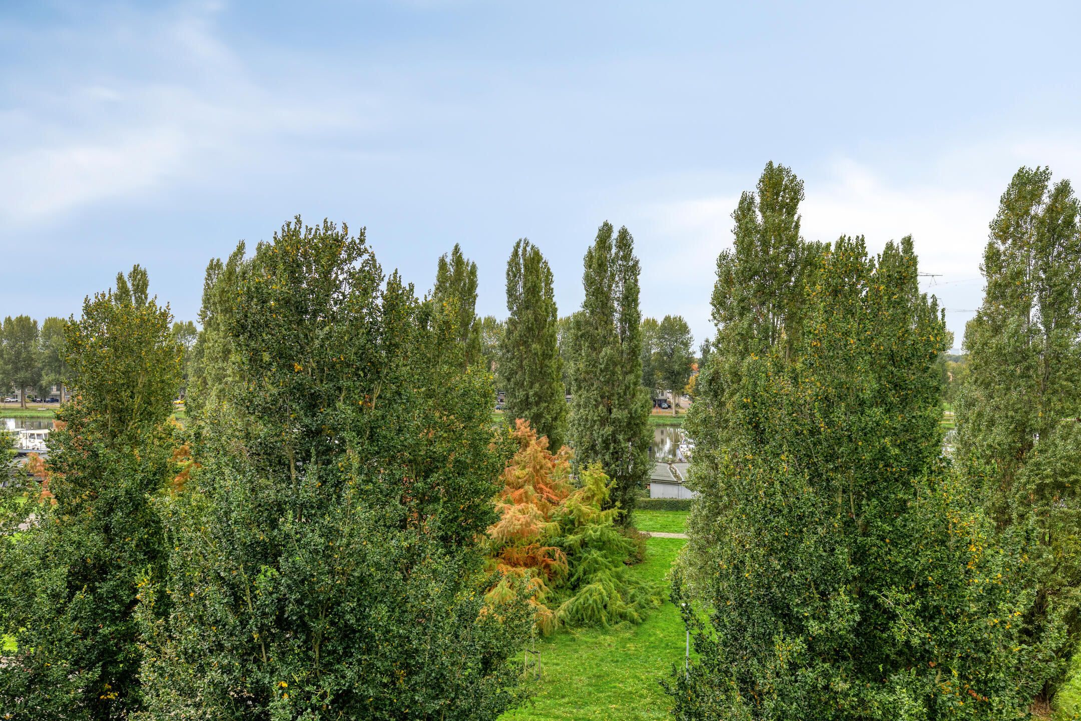 Photo 36 of Paul Kleestraat 102