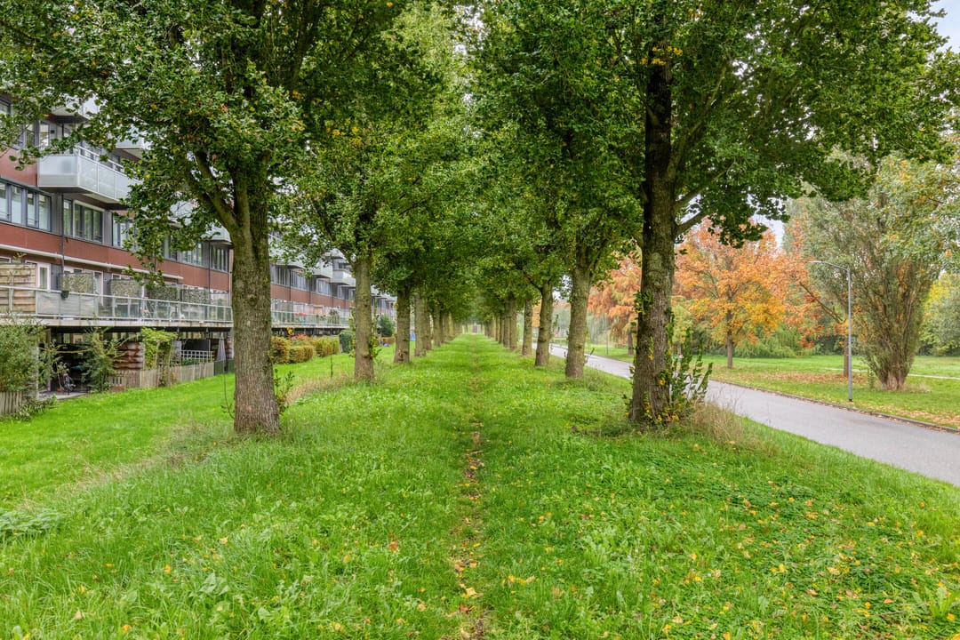 Photo 37 of Paul Kleestraat 102