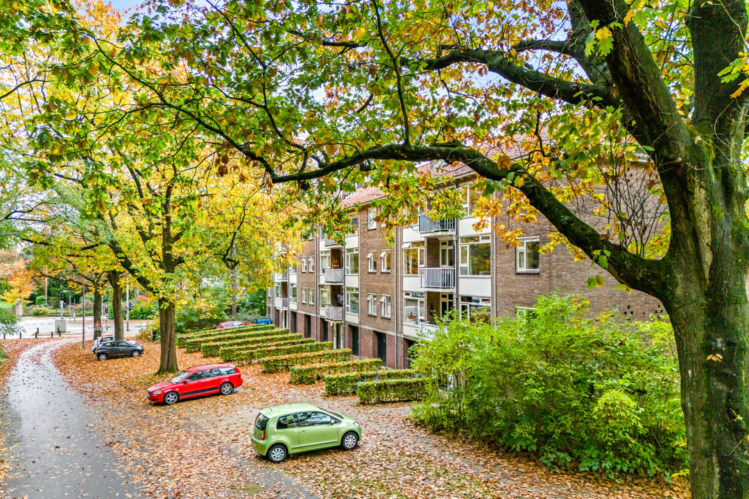 Foto 2 van Prins Frederiklaan 51-B