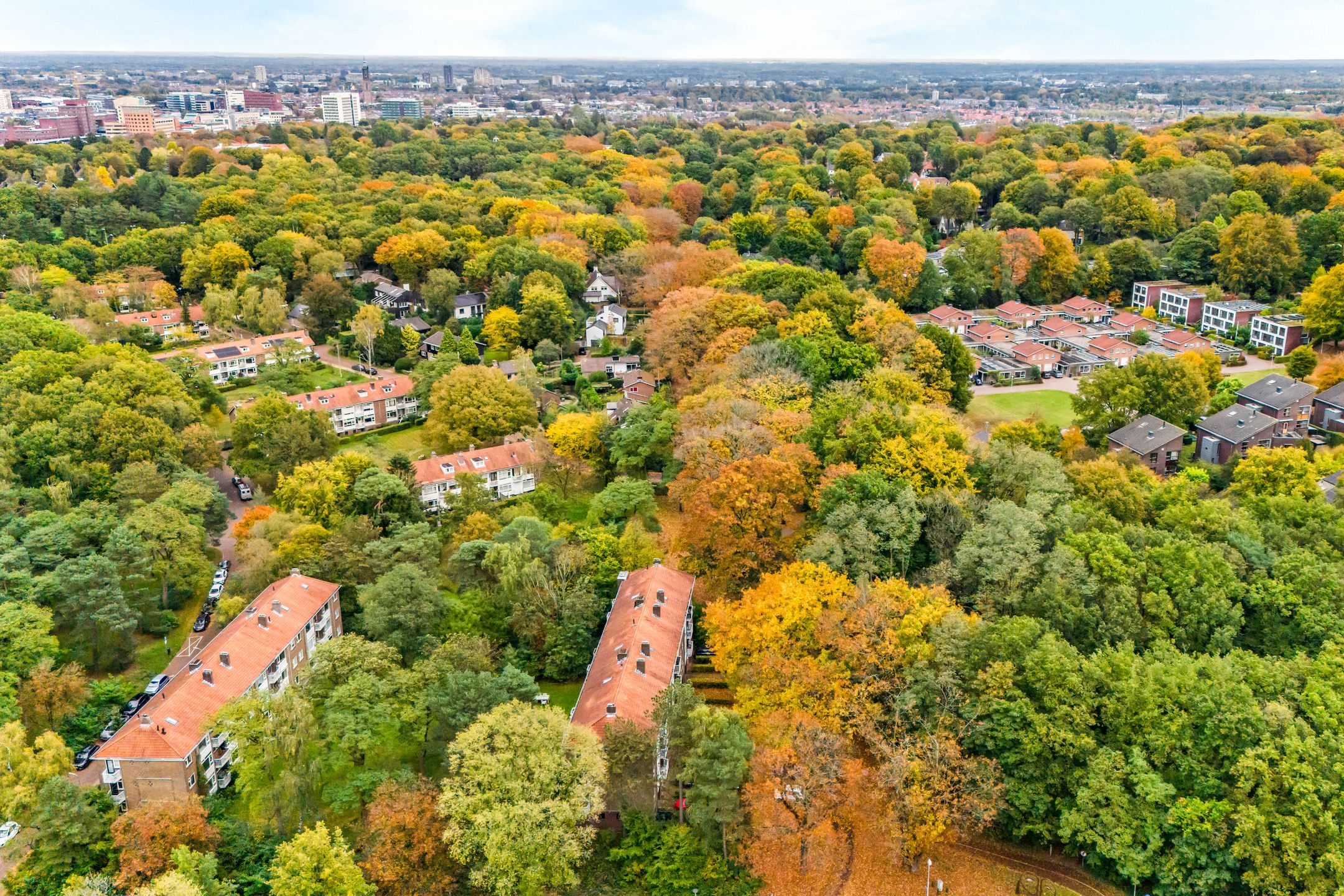 Foto 3 van Prins Frederiklaan 51-B