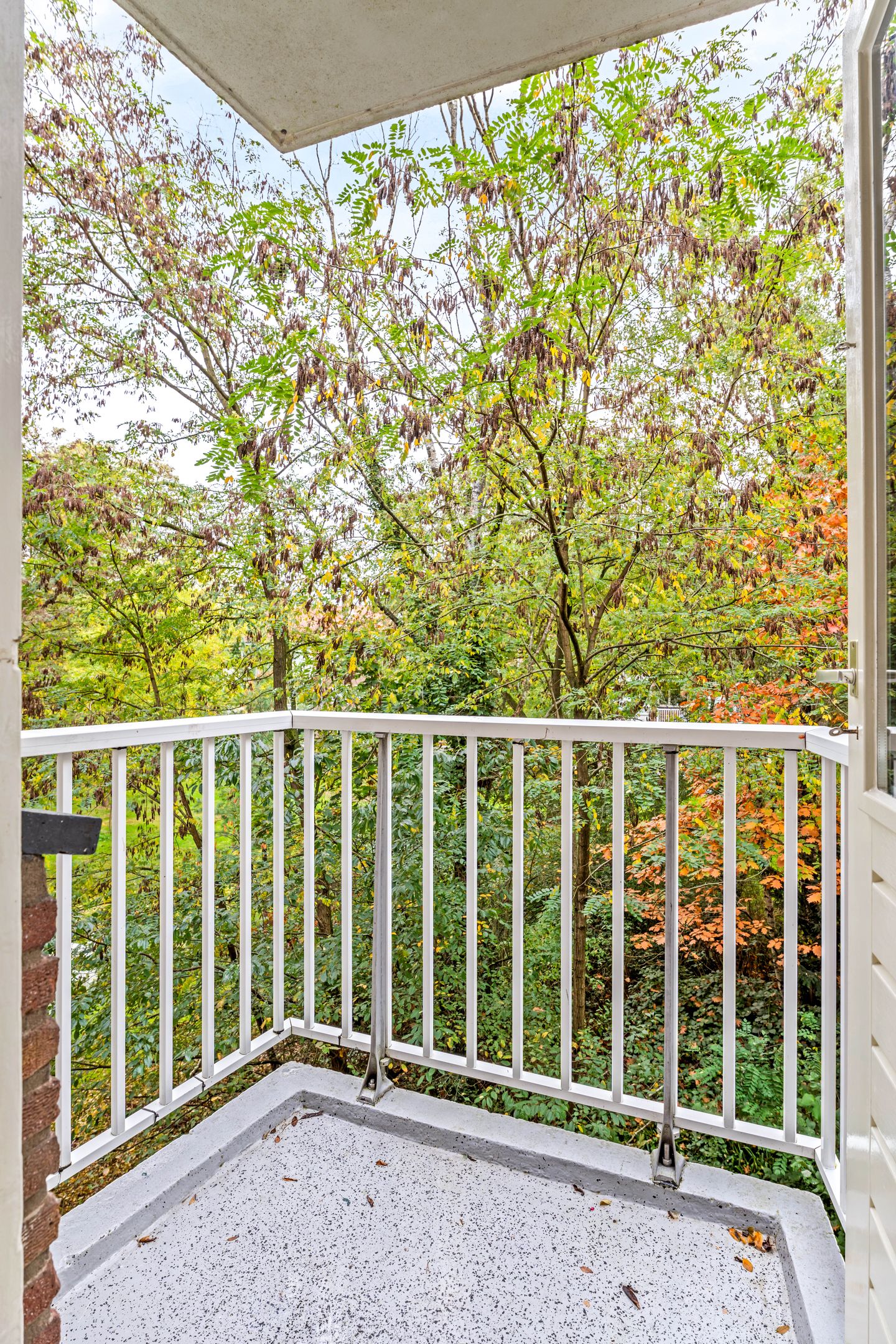 Foto 19 van Prins Frederiklaan 51-B