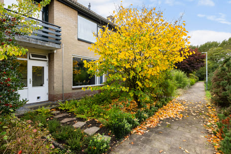 undefined main image