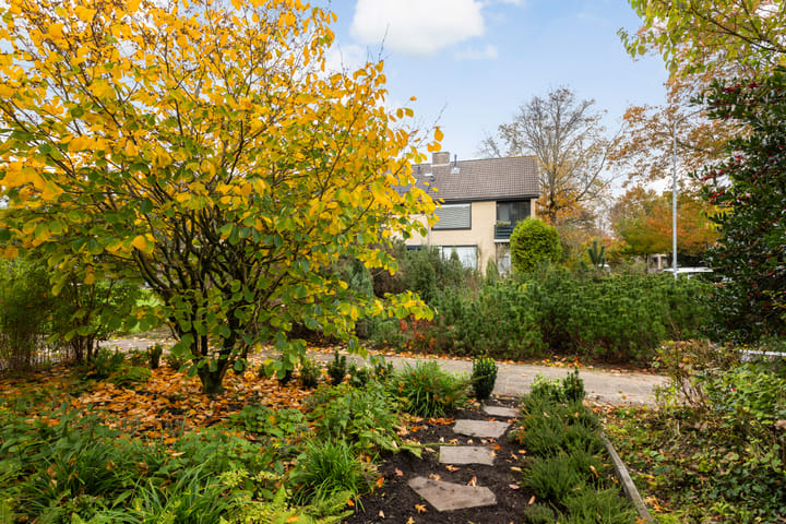 Photo 43 of De la Reystraat 116