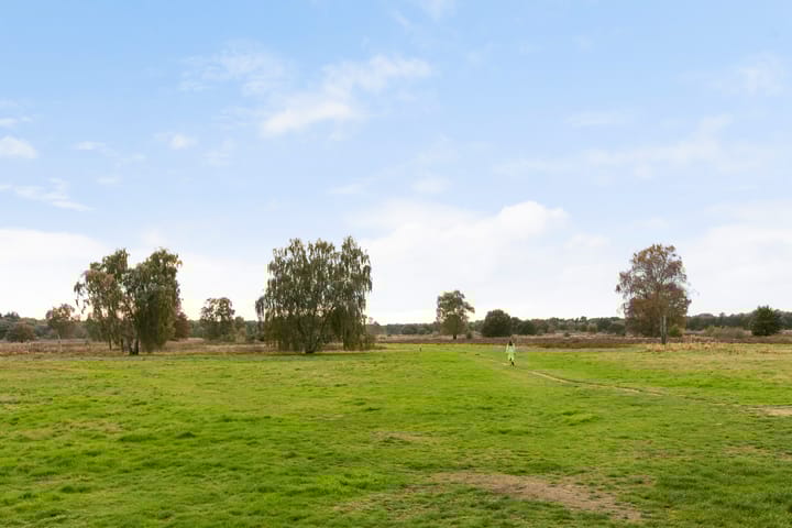 Photo 47 of De la Reystraat 116