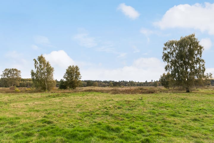 Photo 48 of De la Reystraat 116