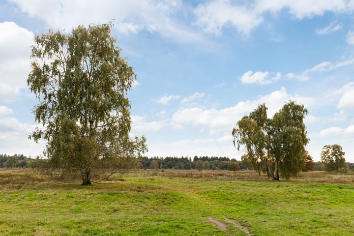 Photo 49 of De la Reystraat 116