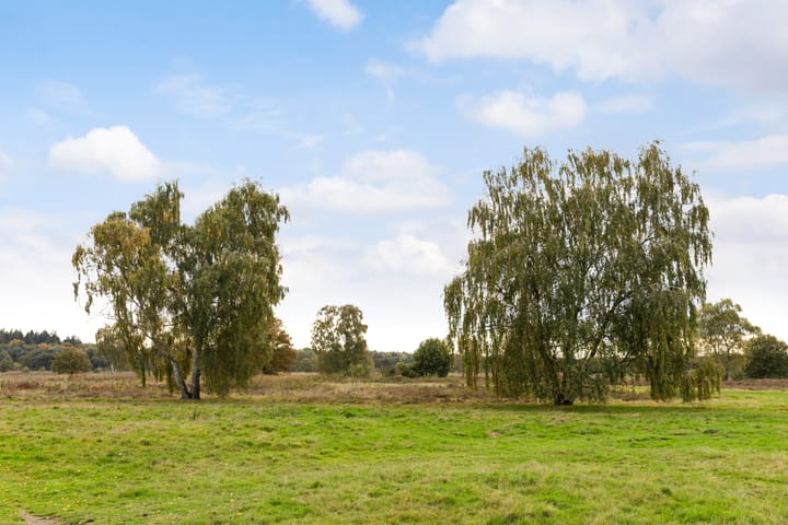 Photo 50 of De la Reystraat 116