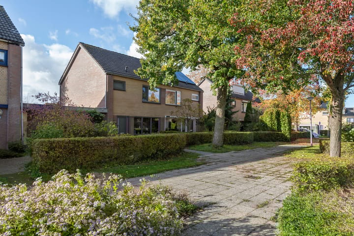 Photo 7 of Paulus Potterhof 25