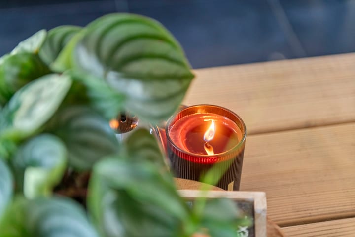 Photo 25 of Paulus Potterhof 25