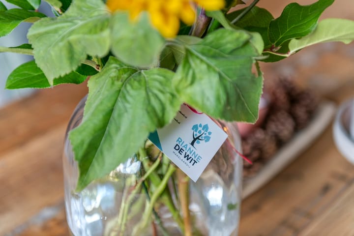 Photo 30 of Paulus Potterhof 25