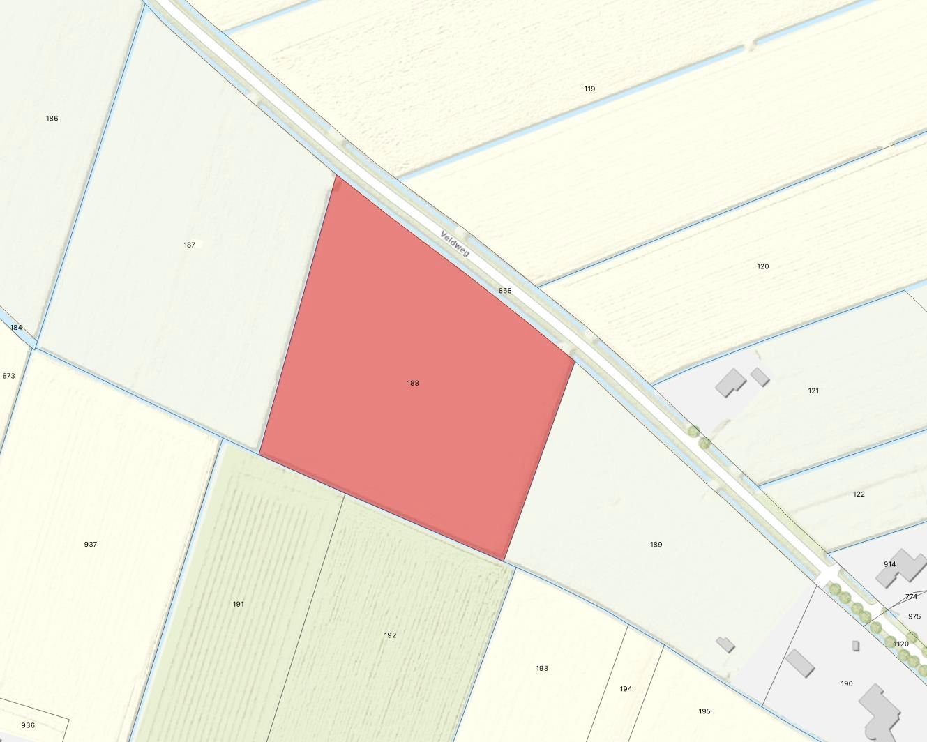 Veldweg - Hedel - Afbeelding 1