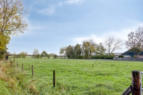 Gealeloane 5 tertiary image