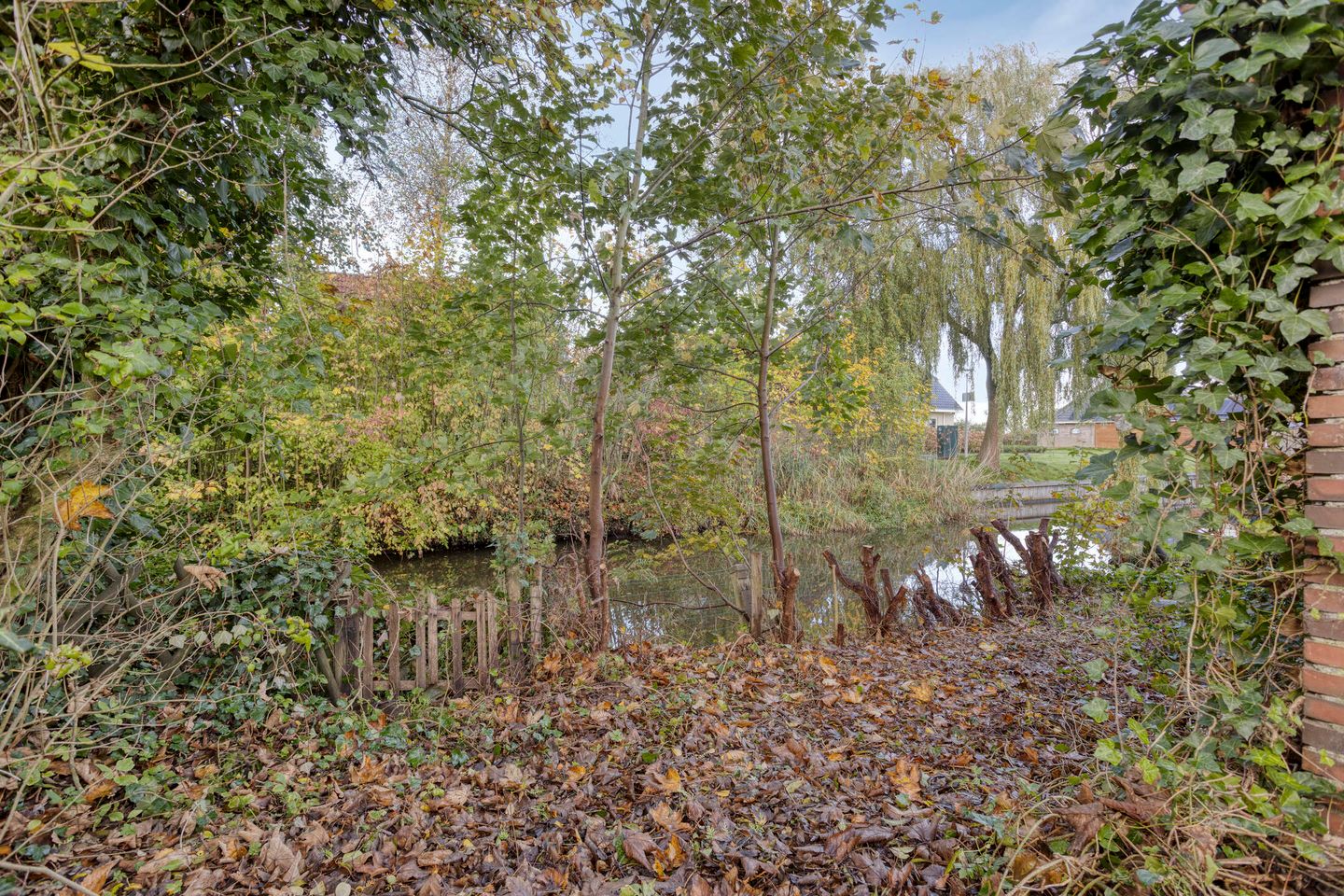 Foto 29 van Gealeloane 5