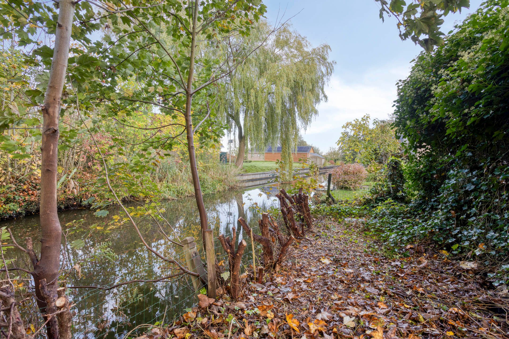 Foto 30 van Gealeloane 5