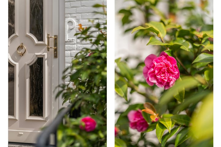 Photo 7 of 's-Gravenweg 544