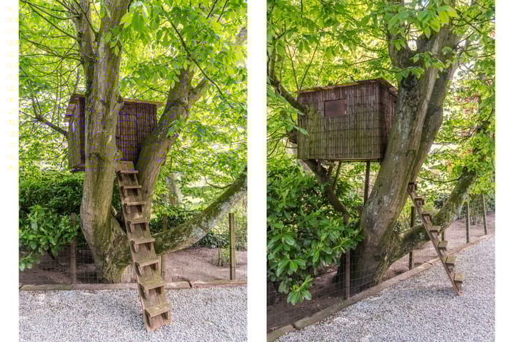 Photo 43 of 's-Gravenweg 544