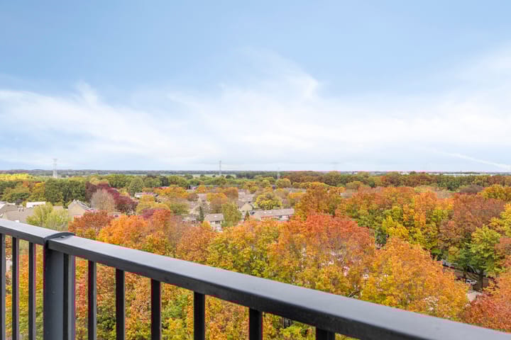 Foto 12 van Meulemansstraat 185