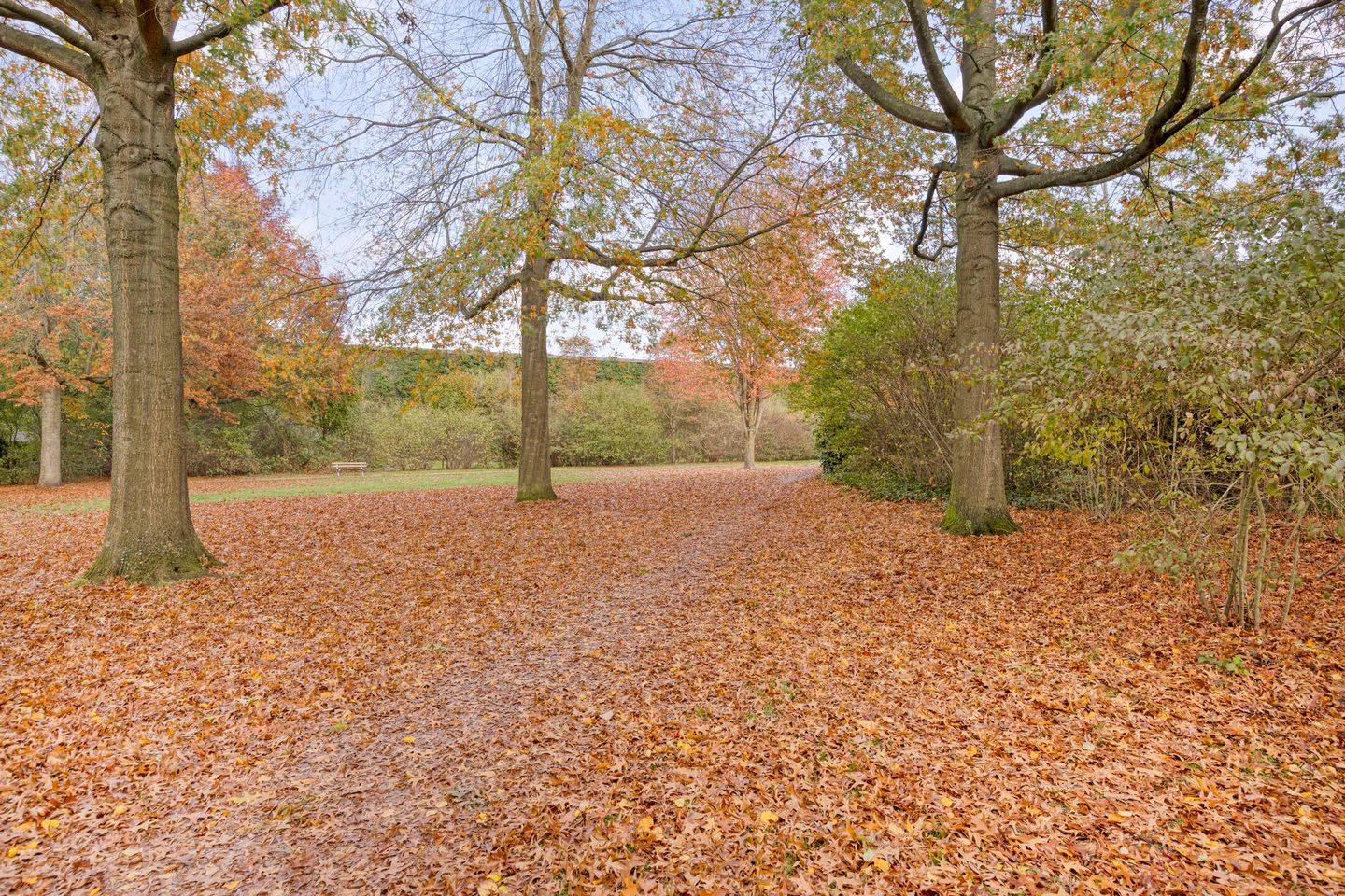 Photo 40 of Gestelsestraat 81