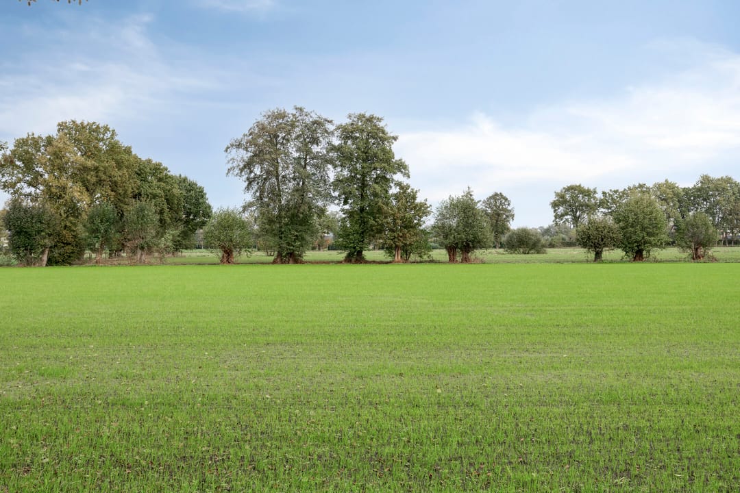 Foto 71 van Scheivoor 1-C