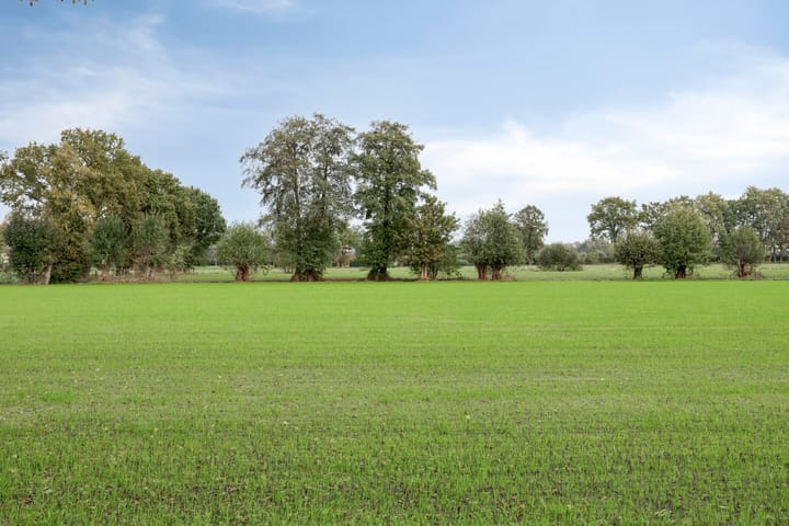 Foto 71 van Scheivoor 1-C