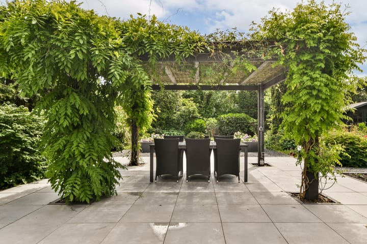 Foto 16 van Linnaeuslaan 16