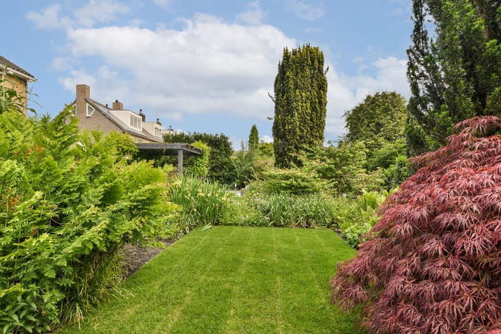 Foto 17 van Linnaeuslaan 16