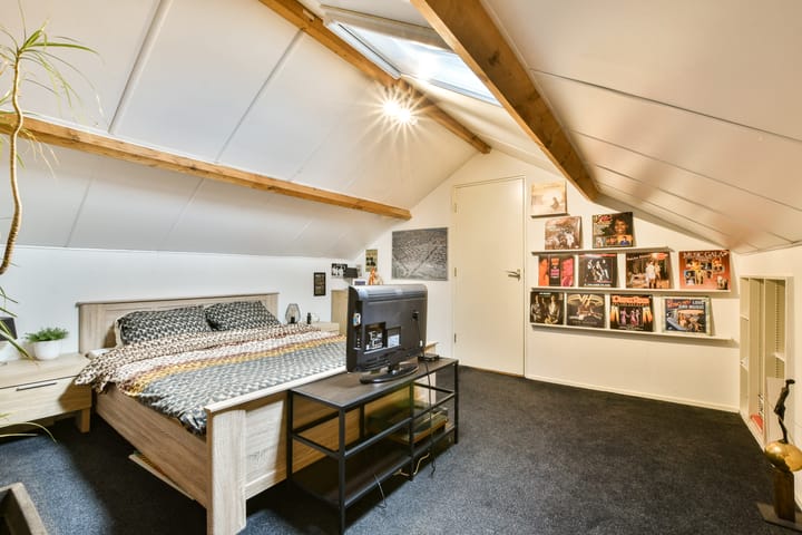 Foto 34 van Linnaeuslaan 16