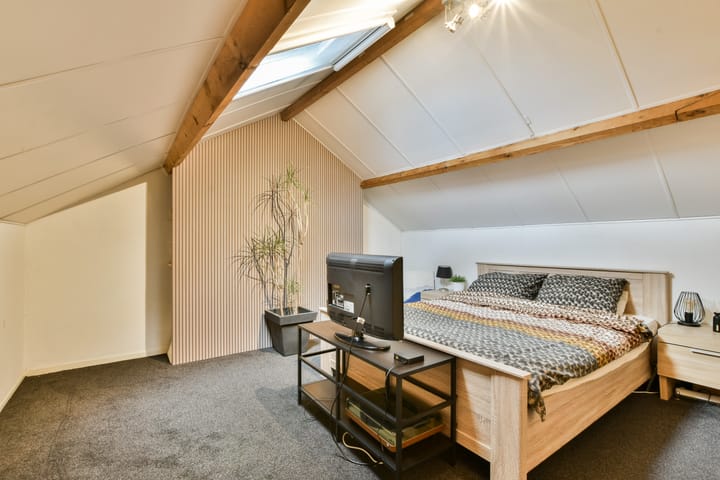 Foto 35 van Linnaeuslaan 16