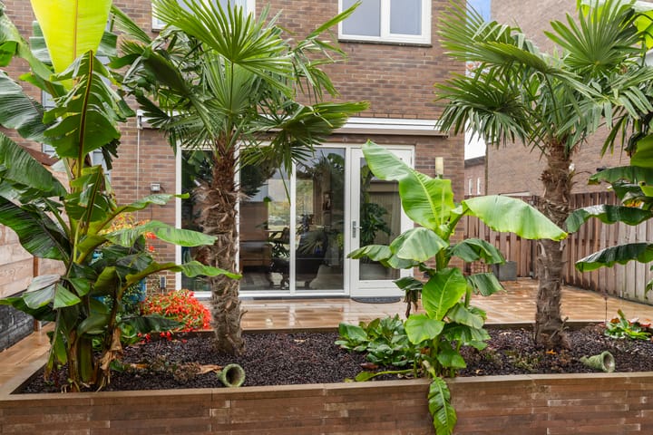 Foto 37 van Johan van den Kornputstraat 32