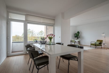 Goeman Borgesiuslaan 87 tertiary image