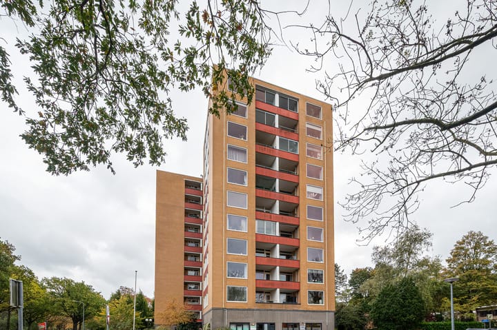 Foto 6 van Goeman Borgesiuslaan 87