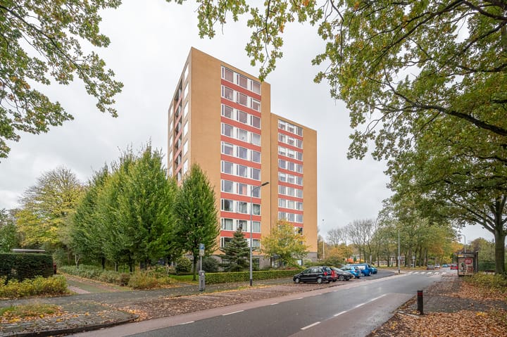 Foto 8 van Goeman Borgesiuslaan 87