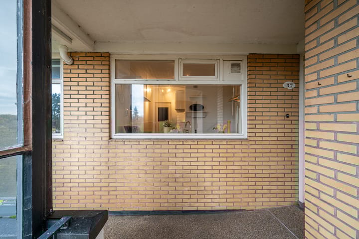 Foto 14 van Goeman Borgesiuslaan 87