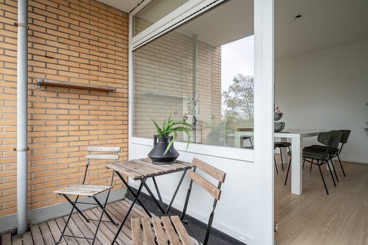 Foto 27 van Goeman Borgesiuslaan 87