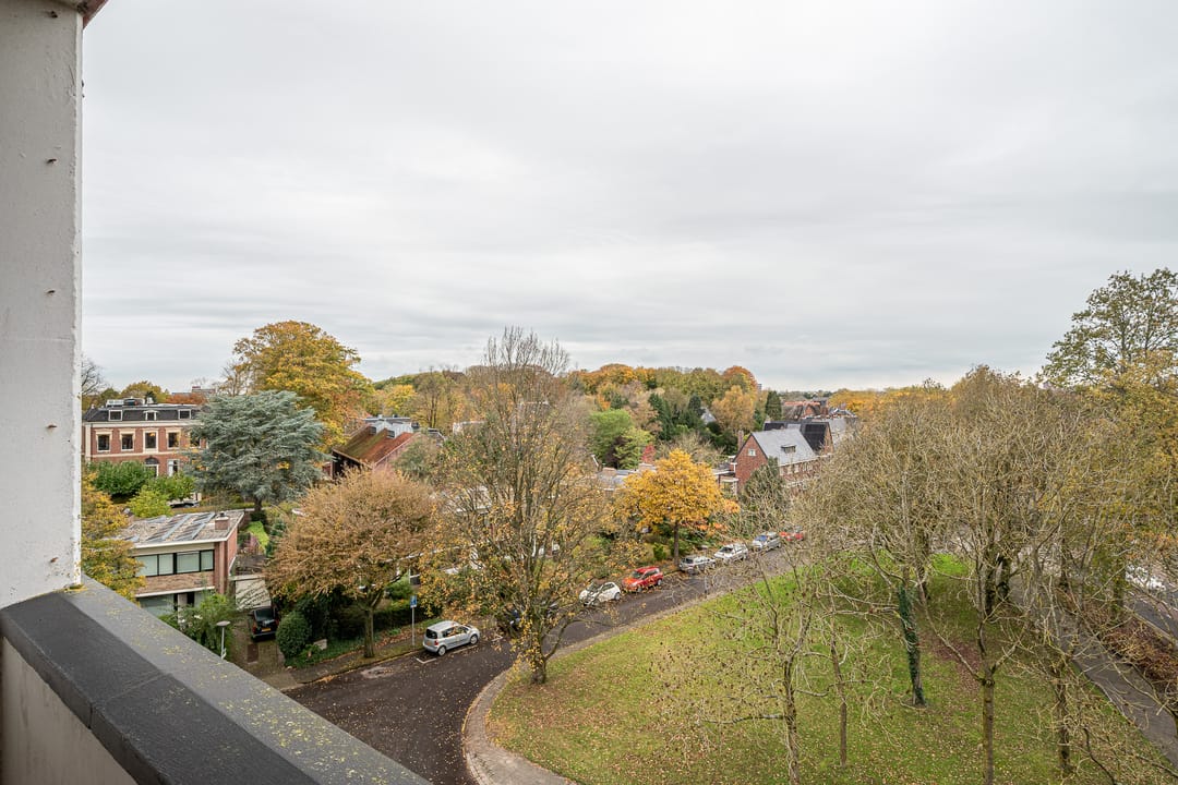 Photo 28 of Goeman Borgesiuslaan 87